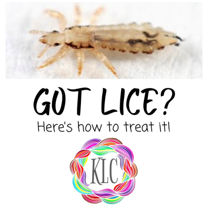 Home Remedies Archives - Knoxville Lice Clinic