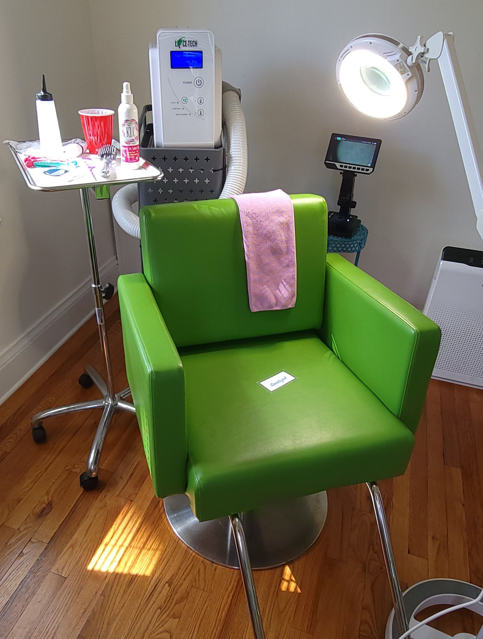 Professional Lice Treatment Options in Knoxville, TN